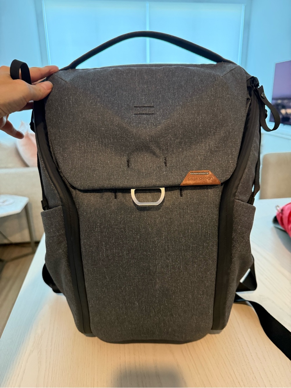 Peak Design Everyday Backpack V2 20L Charcoal Camera Laptop Bag + Sage Hip Belt